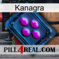 Kanagra 04